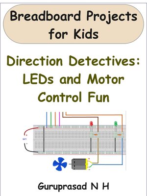 cover image of Direction Detectives